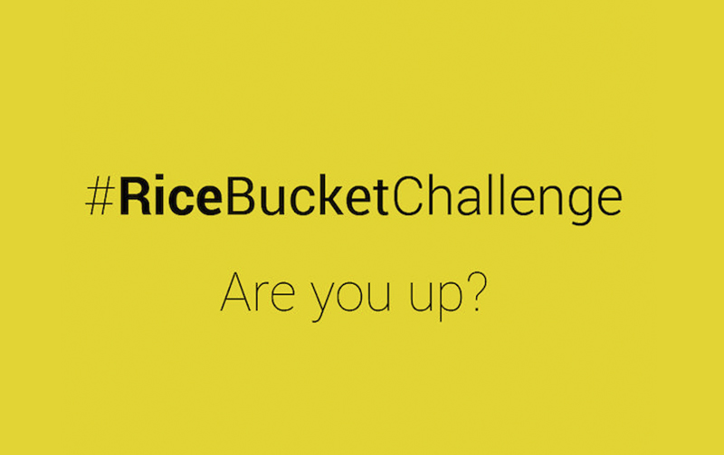 Ice Bucket Challenge 4
