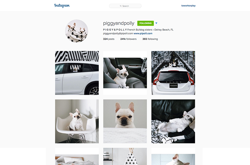 Instagram Theme - @piggyandpolly